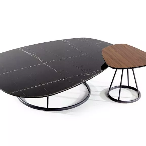 EGG COFFEE TABLE